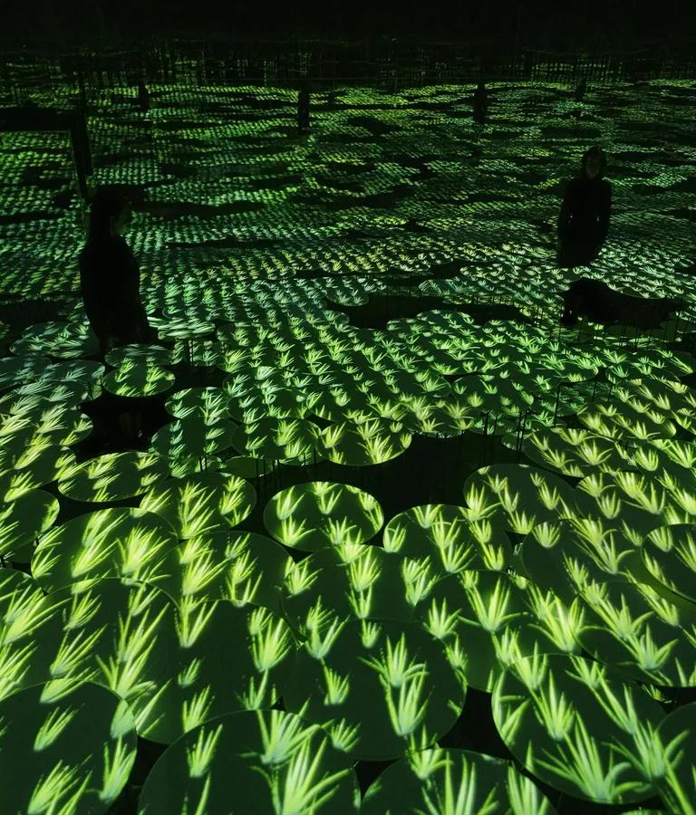 Memory of Topography installation at teamLab Borderless