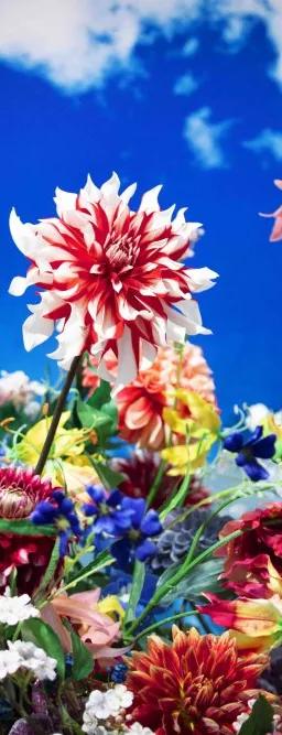 Artwork from Mika Ninagawa with EiM: Alive with Shadows exhibition at the Grand Palais