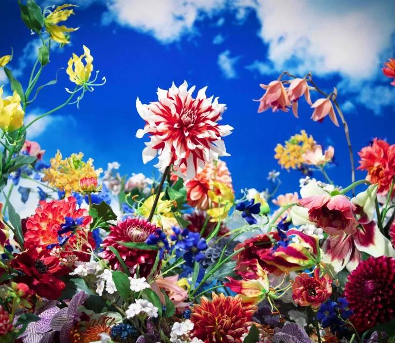 Artwork from Mika Ninagawa with EiM: Alive with Shadows exhibition at the Grand Palais