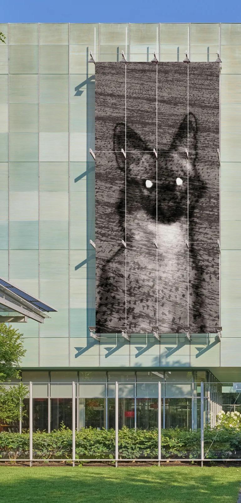 Michal Rovner's Untitled/Night, 2016 — a jackal with glowing eyes — on the Anne H. Fitzpatrick Facade of the Isabella Stewart Gardner Museum