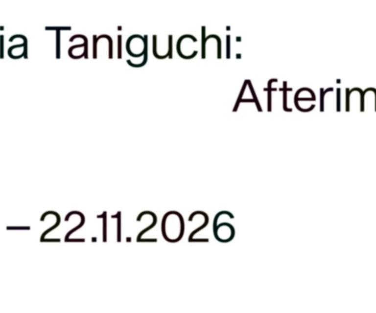 Maria Taniguchi: Afterimage exhibition
