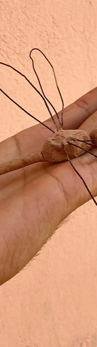 Mohammad Alfaraj, A dragonfly of clay and wire, 2022