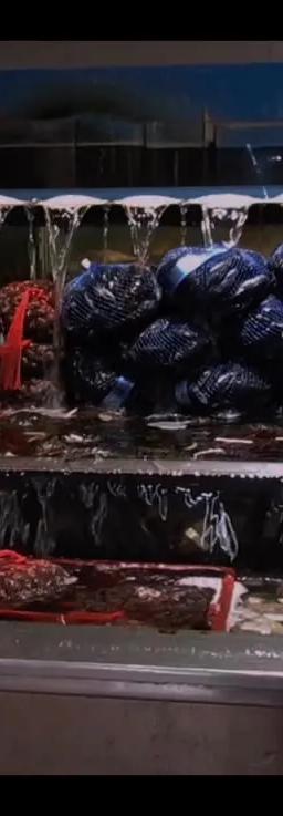 Sabrina Vachon, Love You Forever, video still, 2024