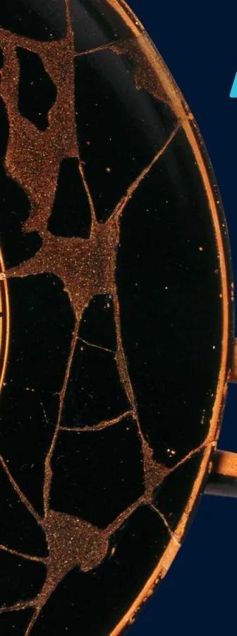 Across Wine-Dark Seas: Art and Identity beyond Ancient Greece at The Metropolitan Museum of Art