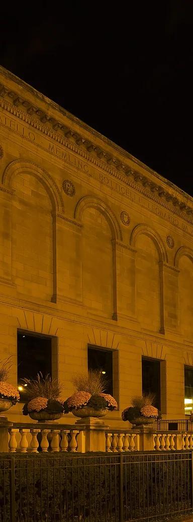 The Beaux-Arts facade of the Art Institute of Chicago on Michigan Avenue, floodlit at night, with one of its bronze lions at right