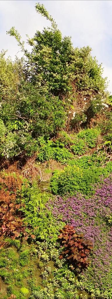 The living green wall and glass facade of the Musee du quai Branly - Jacques Chirac in Paris