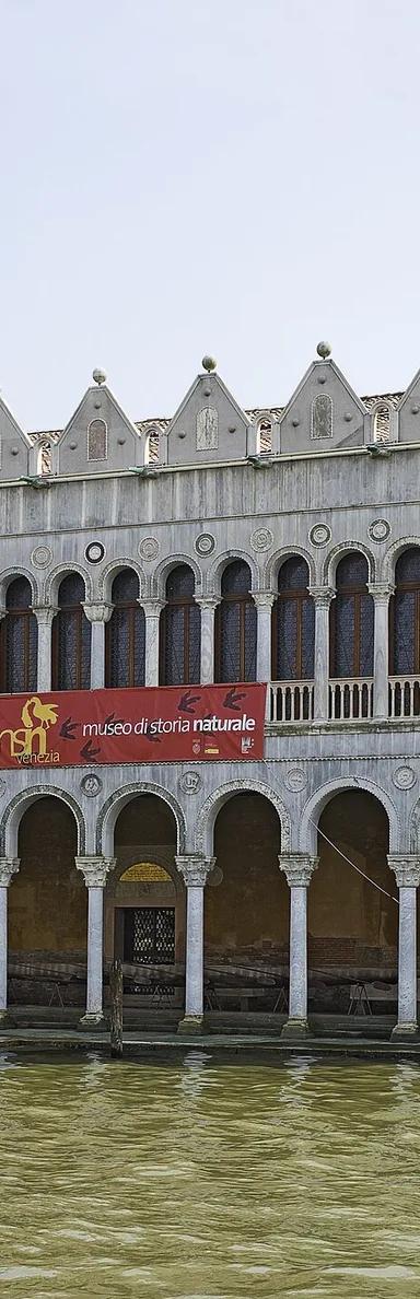 The arcaded Venetian-Byzantine facade of the Fontego dei Turchi on the Grand Canal